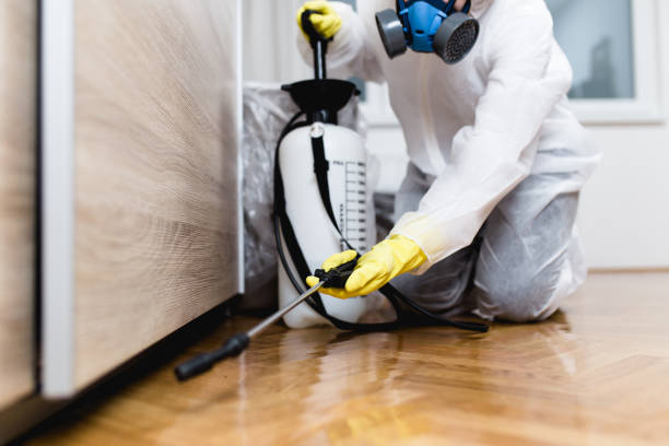 Best Insect Control  in Ferndale, MD