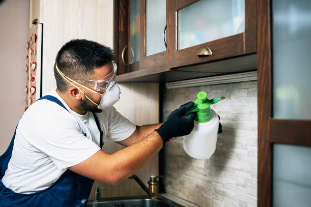 Best Pest Prevention Services  in Ferndale, MD