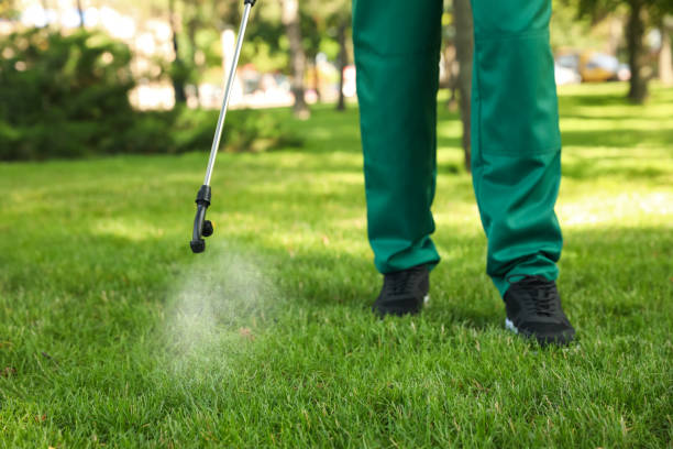 Best Pest Inspection Near Me  in Ferndale, MD