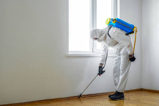 Best Local Pest Control Services  in Ferndale, MD