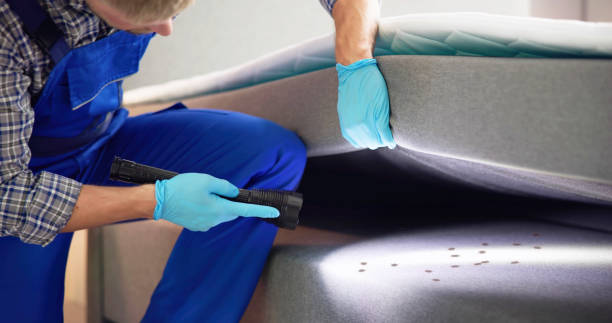Best Wasp Removal Services  in Ferndale, MD