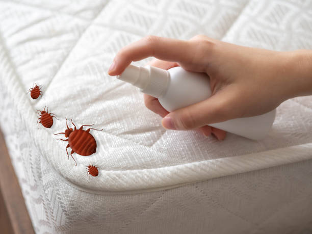 Best Residential Pest Control  in Ferndale, MD