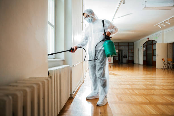 Best Best Pest Control Companies  in Ferndale, MD
